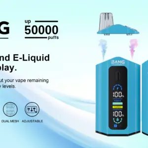 Bang Leader 50000 Vape | 50k Züge & Turbo Mode