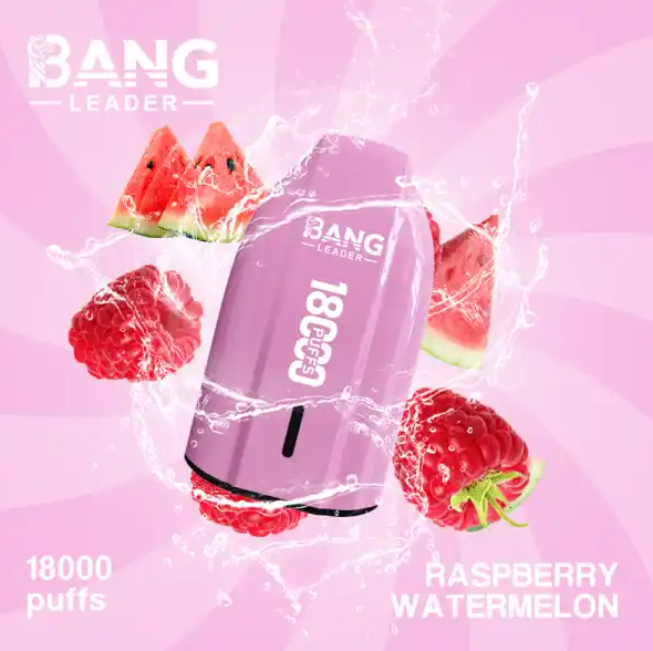 Bang Leader 18000 Puffs