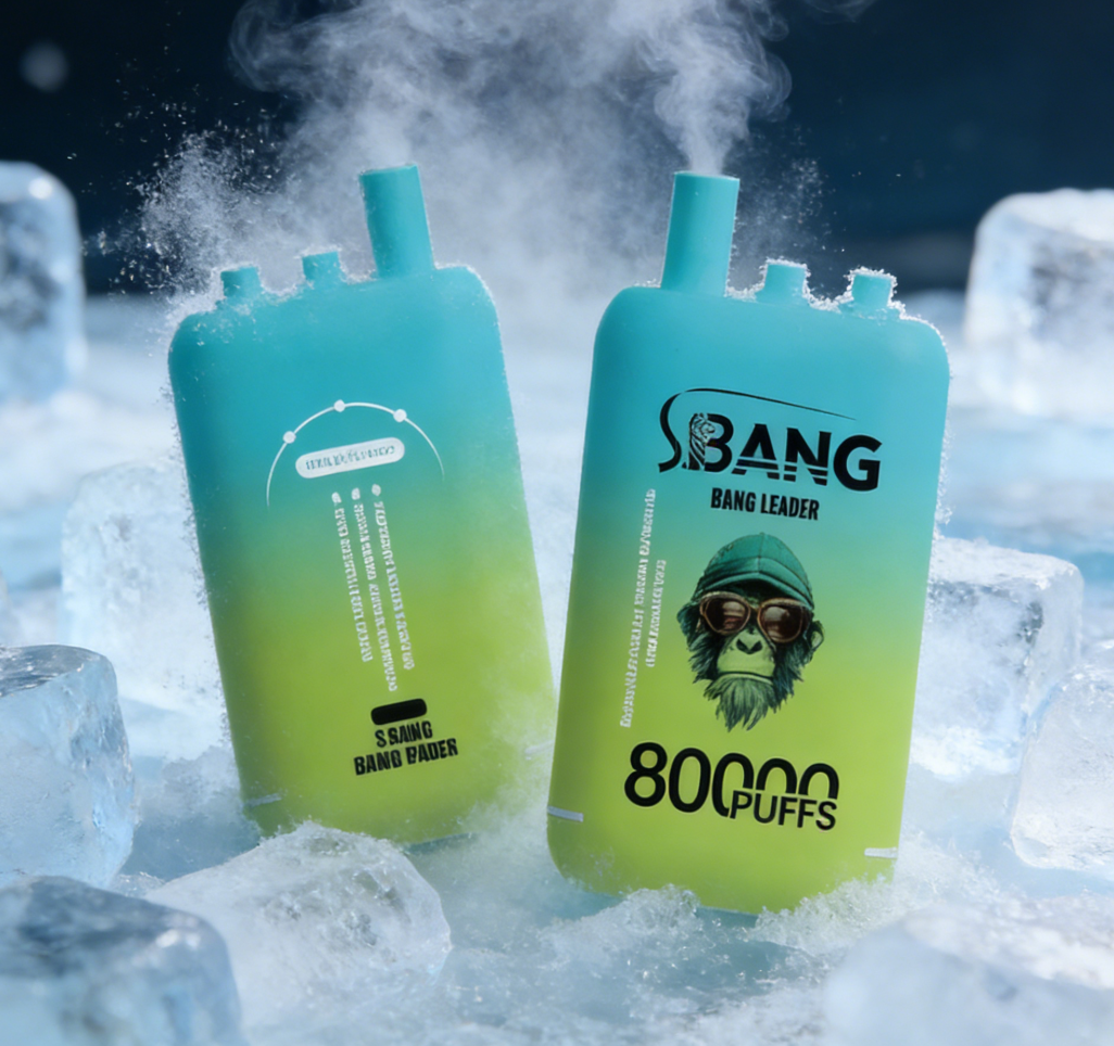 Erfrischende Einweg Vapes mit Eis-Aroma wie Bang King oder Al Fakher