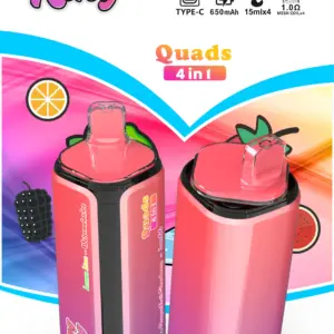 Bang King 250K Einweg Vape mit 4-in-1-Aromen und 250000 Zügen