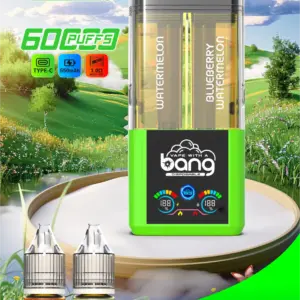 BANG 60000 Züge 2-in-1 Wiederauffüllbare E-Zigarette – Mesh Coil, Type-C, LED Display