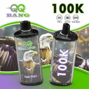 QQ BANG 100K Einweg E-Zigarette 100k Züge