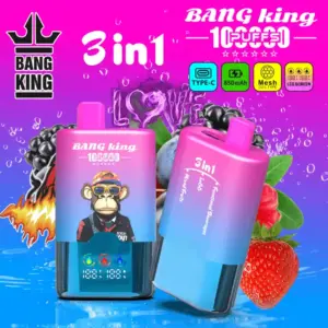 BANG KING 100000 Züge 3-in-1 E-Zigarette – Mesh Coil, Type-C, LED Display, 850mAh – 12 Geschmacksrichtungen
