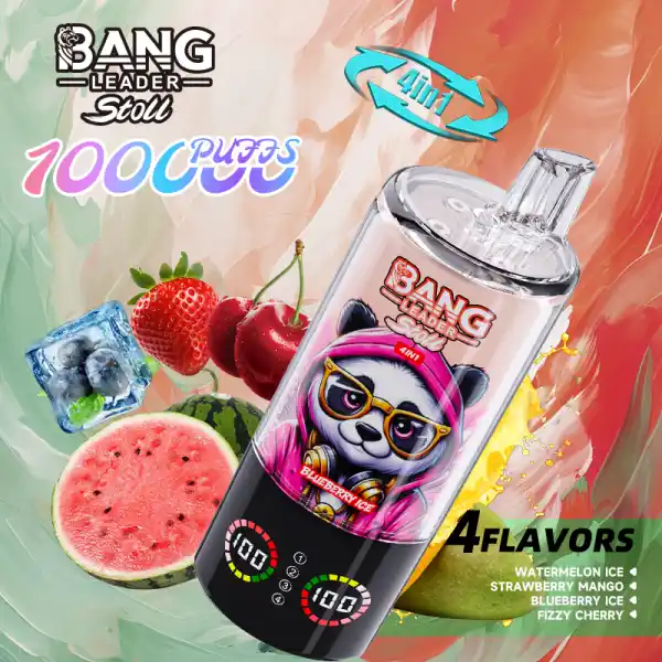 Bang-leader-85K-DE