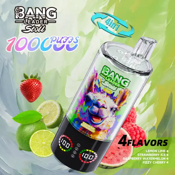 Bang-leader-85K-DE