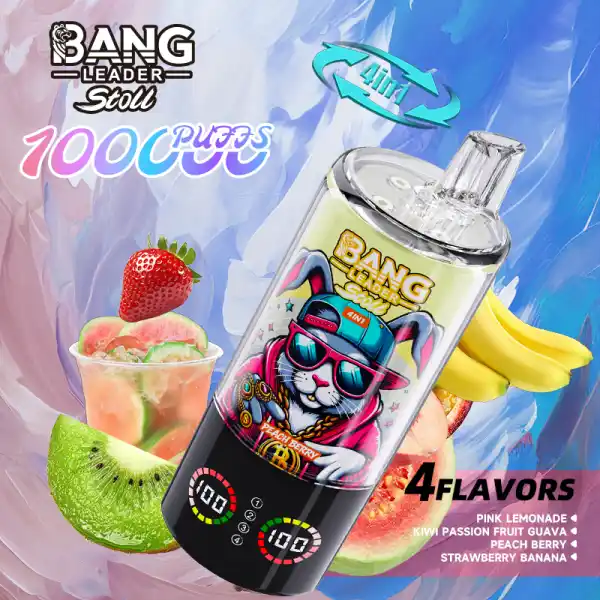Bang-leader-85K-DE