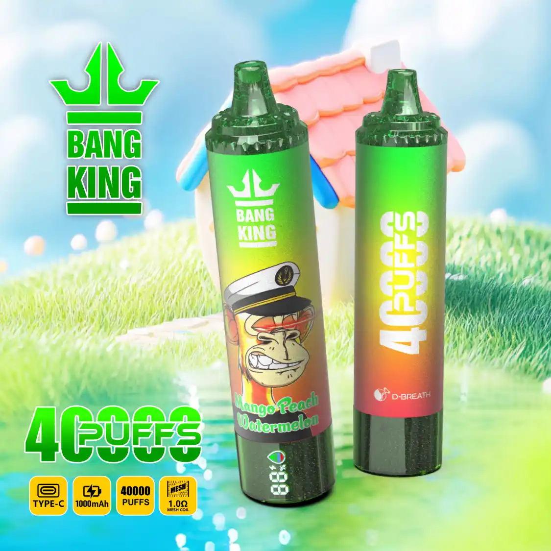 bang-40000-DSK059