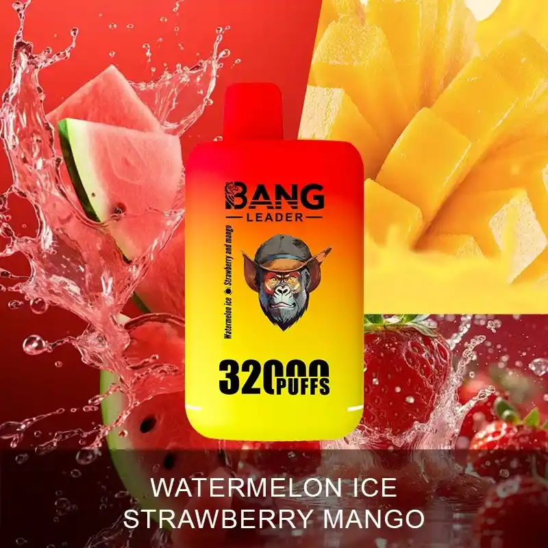 Bang-leader-32K-DE