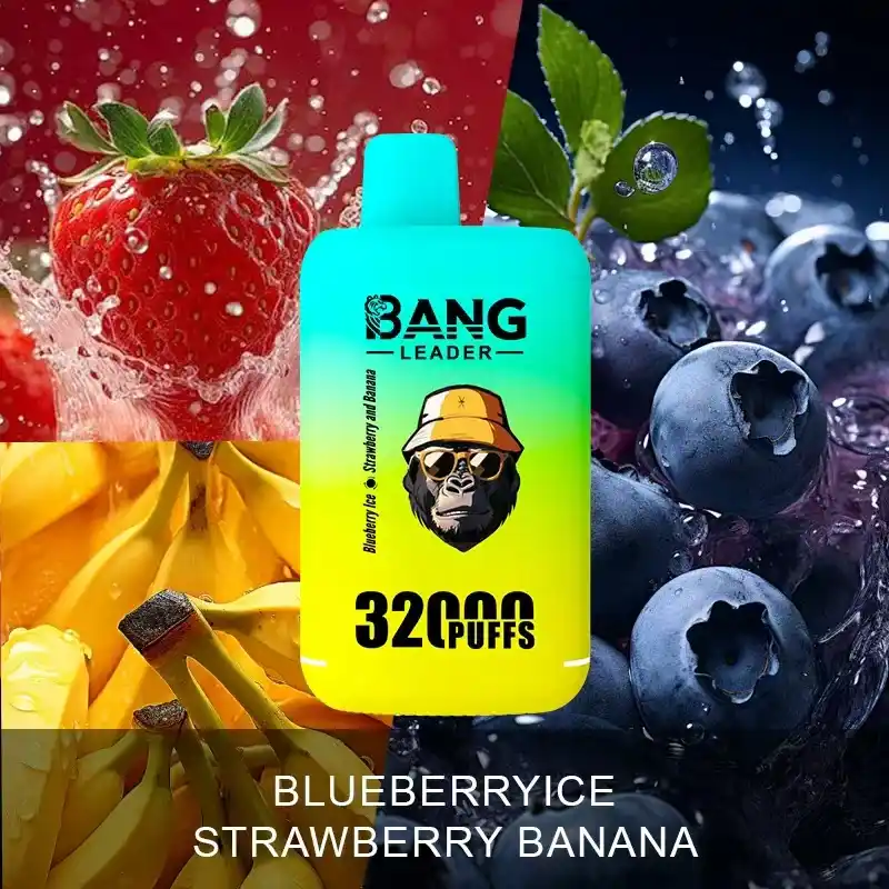 Bang-leader-32K-DE