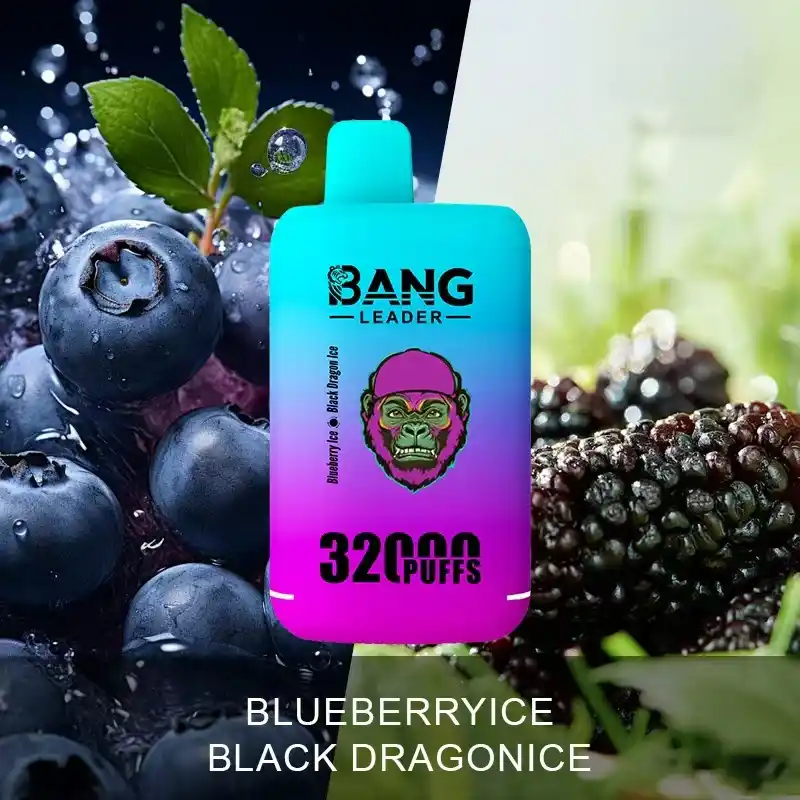 Bang-leader-32K-DE