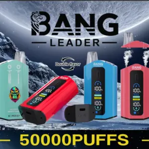 BANG Leader 50000 Züge Big Puff Vape mit Double Flavor