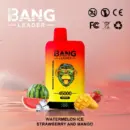 Bang-leader-45K-DE