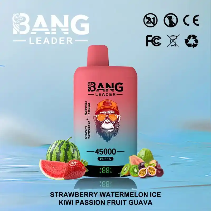 Bang-leader-45K-DE