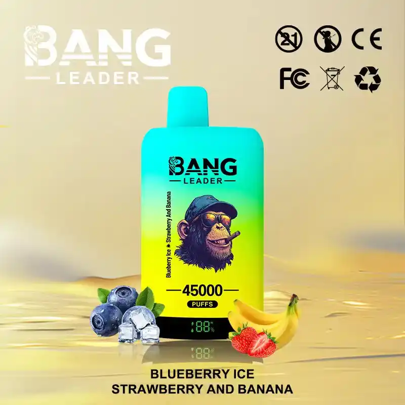 Bang-leader-45K-DE