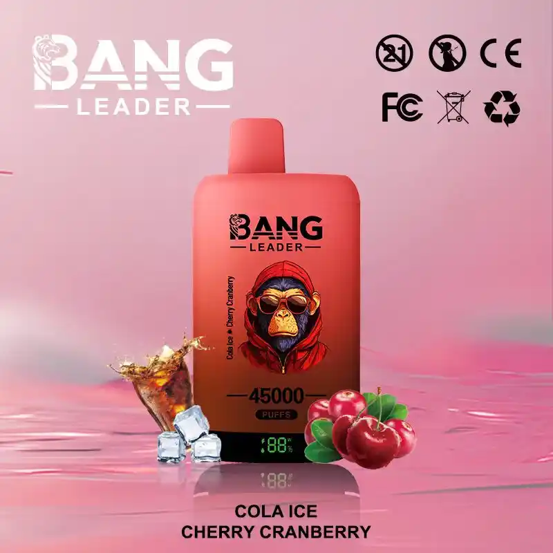 Bang-leader-45K-DE