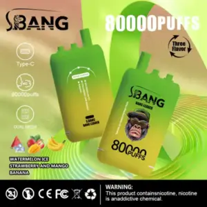 Bang-leader-80K-DE