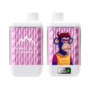 VHILL Twins 60K Big Puff Vape mit Affen-Design und LCD Display