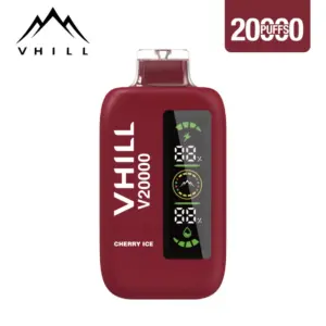 VHILL 20000 Züge Einweg Vape mit Type-C und Display | Big Puff