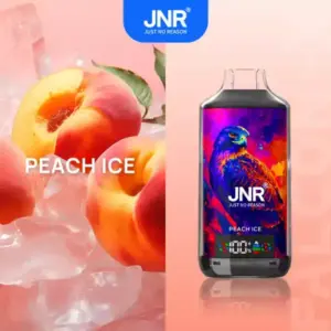JNR Falcon X 18000 Puffs